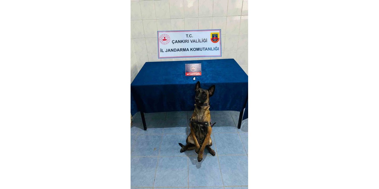 Çankırı’da uyuşturucu operasyonu: 1 gözaltı