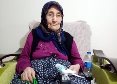 Merhametin böylesi! Halise Anne ve güve kelebeği