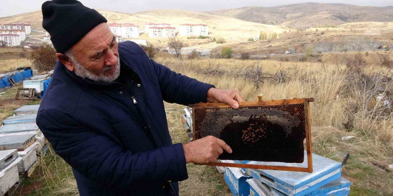 Yozgat’ta varroa hastalığı 15 bin kovana zarar verdi