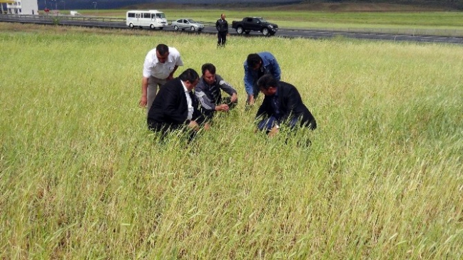 Aksaray’da Tarlaları Dolu Vurdu