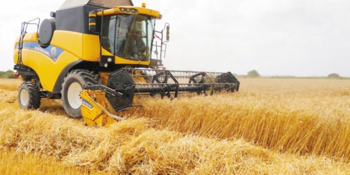 Bektaş: “Buğday alım fiyatı en az 12 TL olmalıdır”