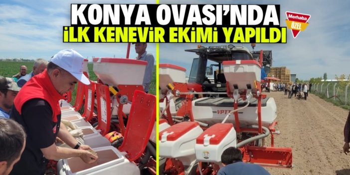 Konya Ovası’nda ilk deneme kenevir ekimi yapıldı