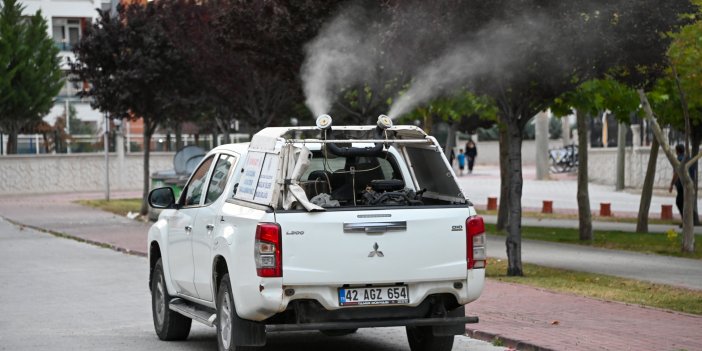 Konya'da böceklere karşı ilaçlama mesaisi devam ediyor