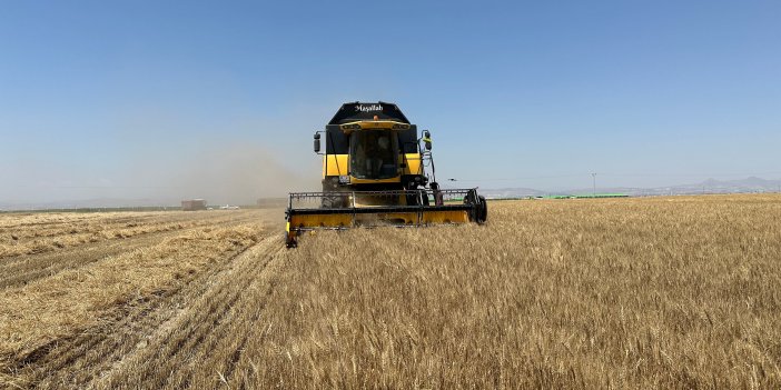 Saraçoğlu'nda buğday hasadı yapıldı