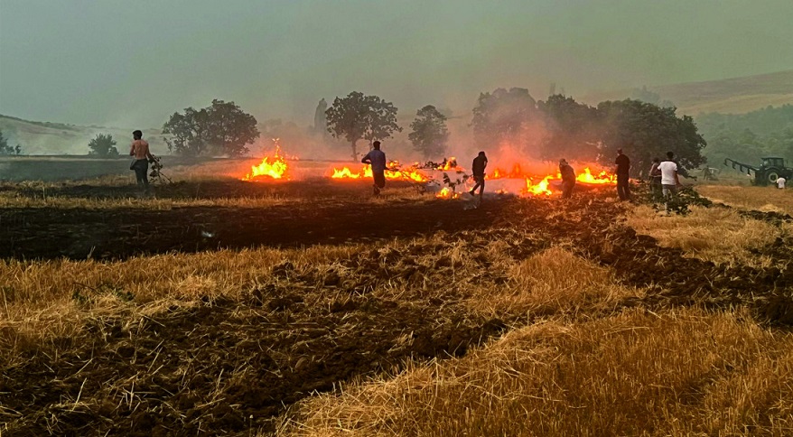 Aksaray'da 100 dekar ekili arazi yanarak kül oldu