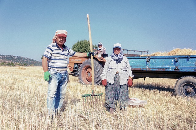 2024 tarım destekleri belli oldu