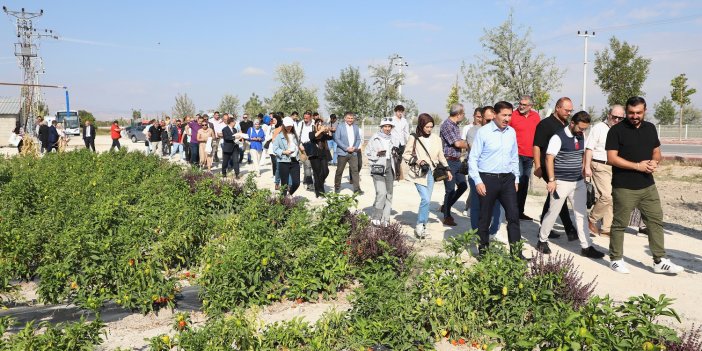 Ata tohumları Karatay'da hayat buldu