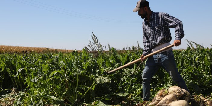 Konya Şeker'den çiftçiye çifte avans