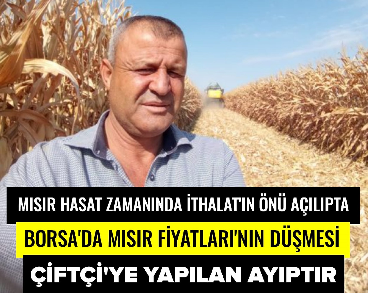 Dane mısır ithalatının açılmasıyla tüccar fırsatçılık mı yapıyor?