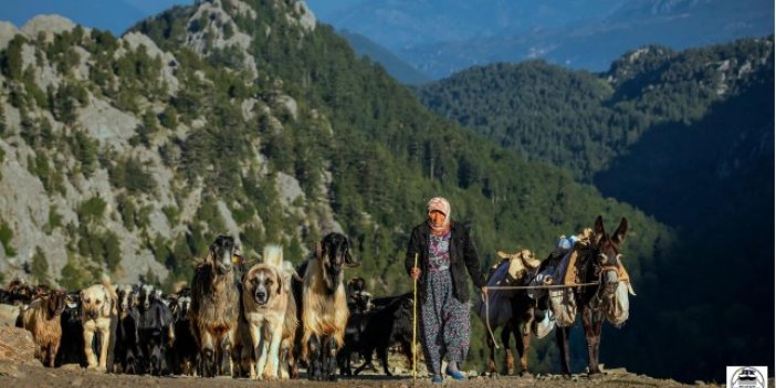 Zeki Oğuz adına fotoğraf  yarışması düzenlendi