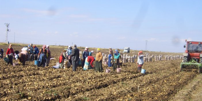 Türkiye'de tarımın yükünü kadınlar çekiyor