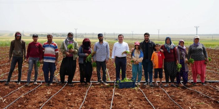 Sigortalı çiftçi sayısında rekor düşüş