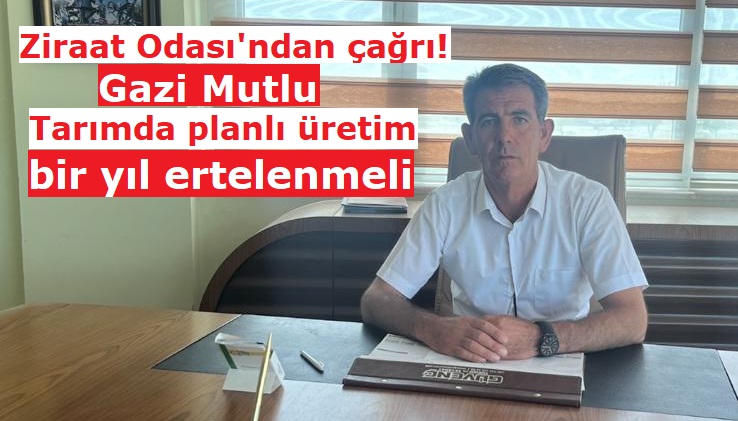 Gazi Mutlu, "Tarımda planlı üretim bir yıl ertelenmeli"