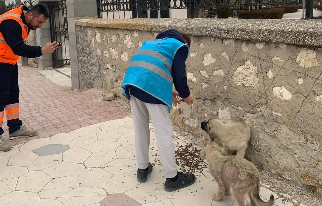 Cihanbeyli Ülkü Ocakları'ndan bir güzel uygulama, sokak hayvanlarını yalnız bırakmıyorlar