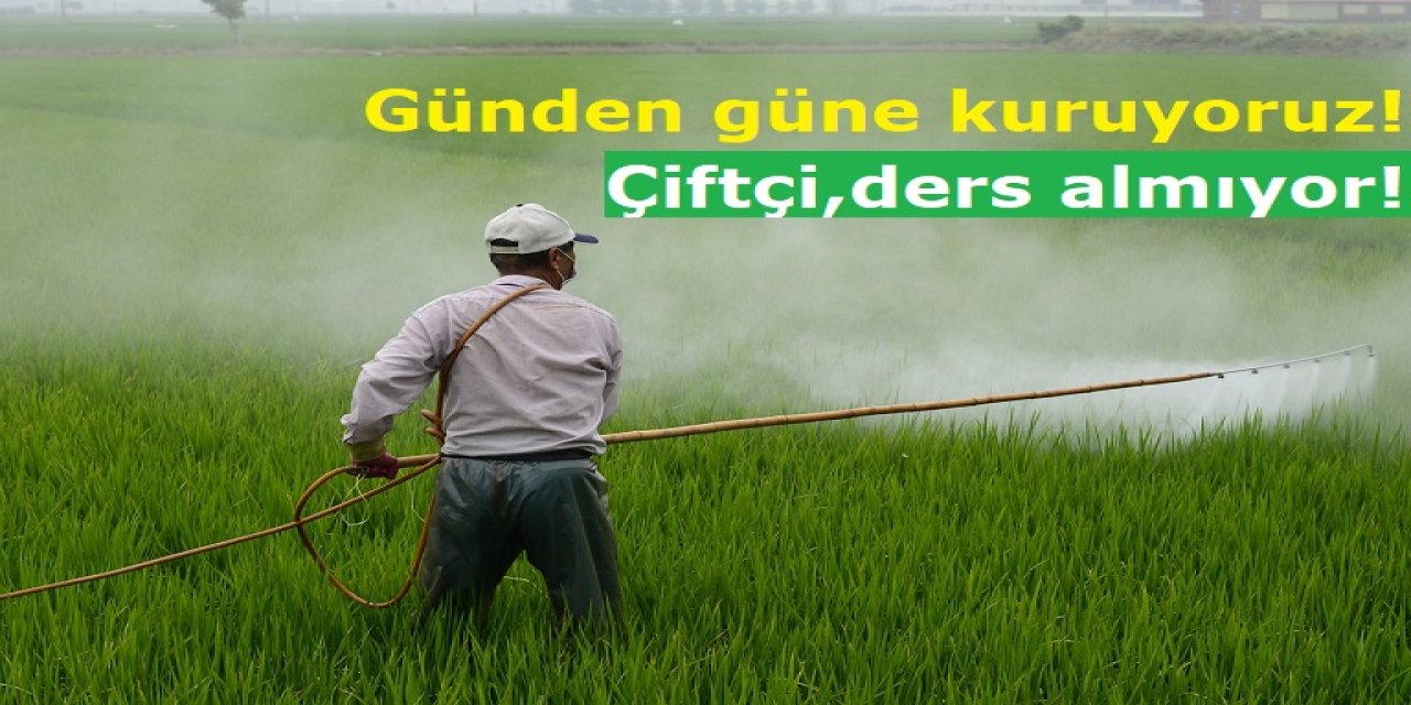 Günden güne kuruyoruz! Konya tarımsal planlamada ders almıyor!