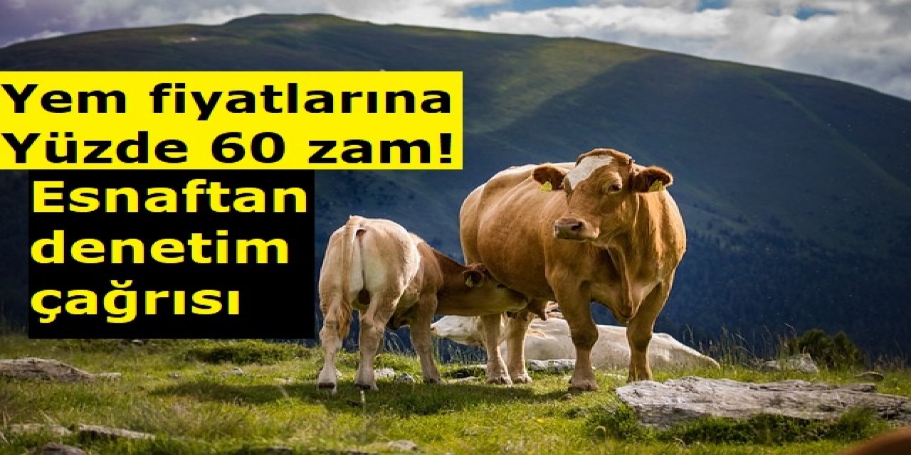 Yem Fiyatlarına Yüzde 60 Zam: Esnaftan Denetim Çağrısı