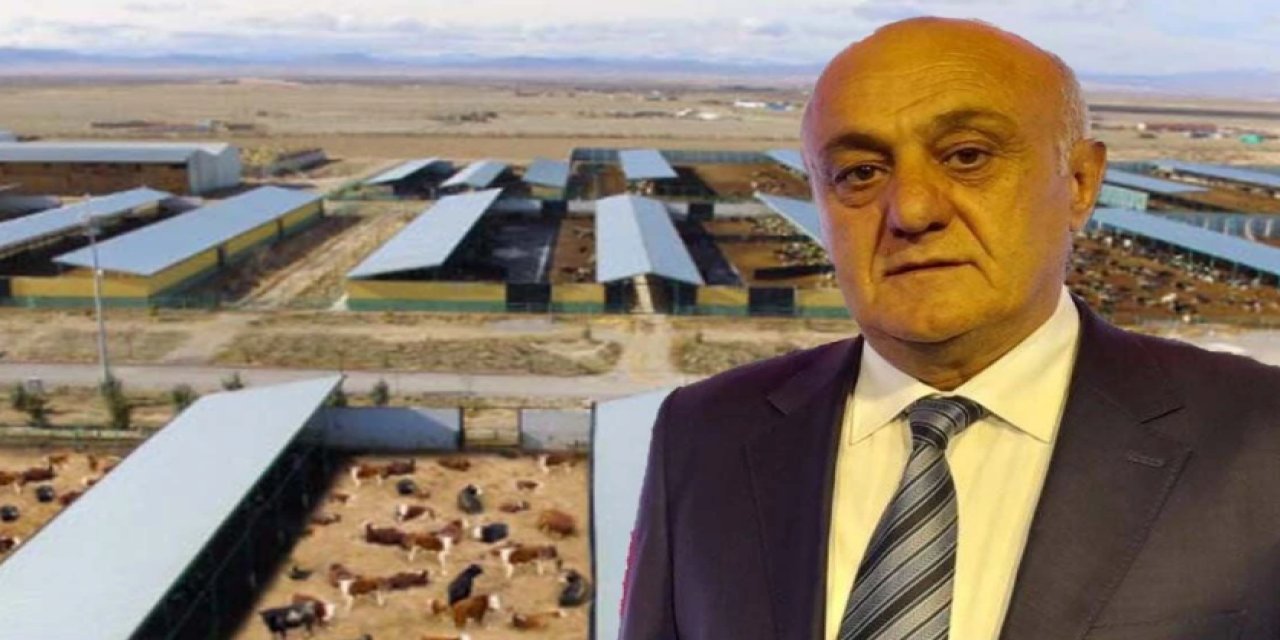 Konya Şeker’de Hayvancılık Çöktü: 7 Çiftlikten 3’ü Kapanırken, 1’i Satıldı!