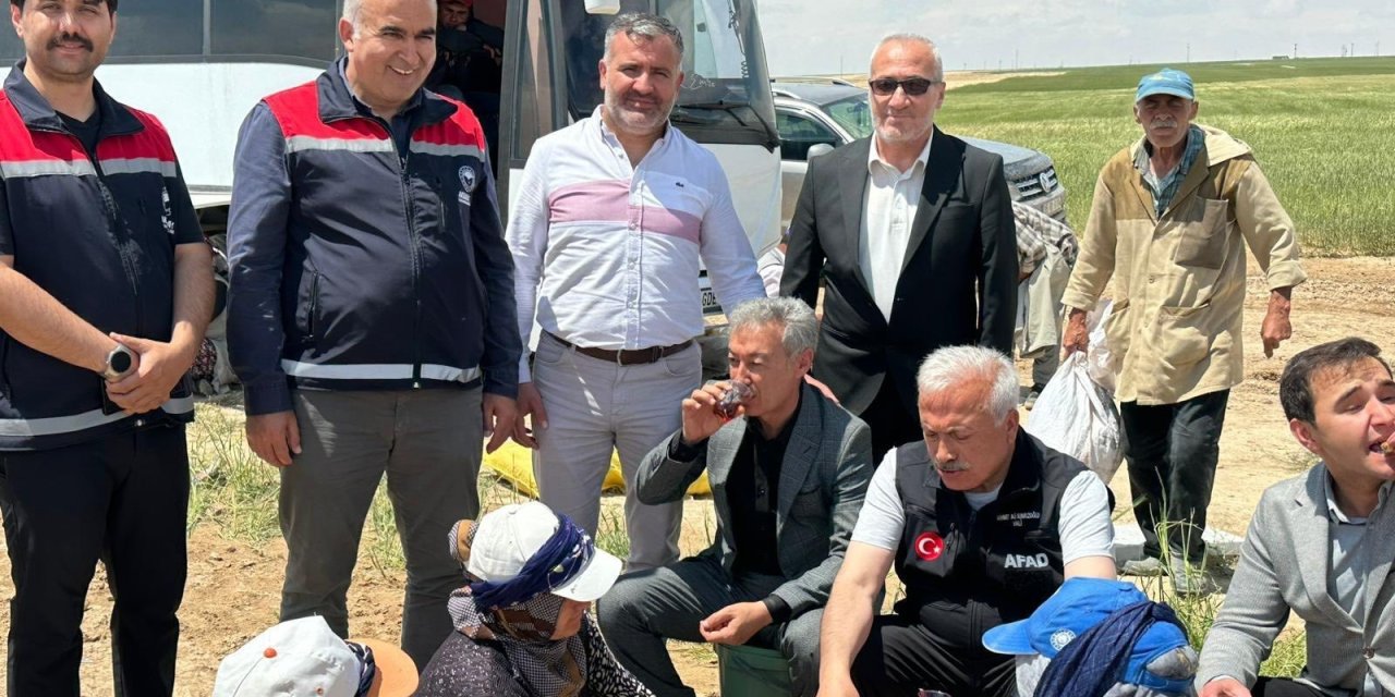 Adem Canlı'dan örnek metanet, "600 dekar mahsulünü dolu vurdu!"