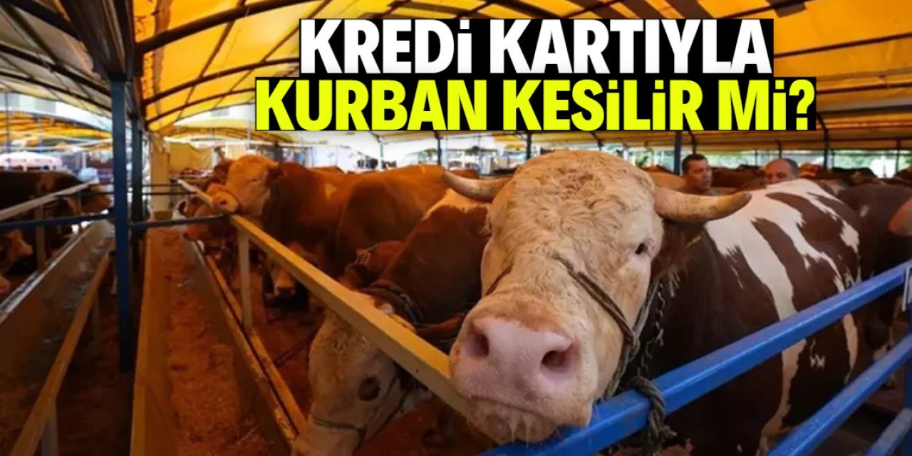Kredi Kartıyla Kurban Alımı Caiz mi? Diyanet ve Uzmanlardan Önemli Açıklamalar