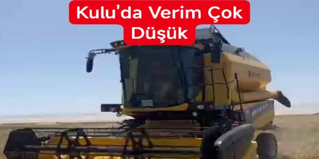 Kulu’da Arpa Hasadı Başladı, Kuraklık Verimi Düşürdü
