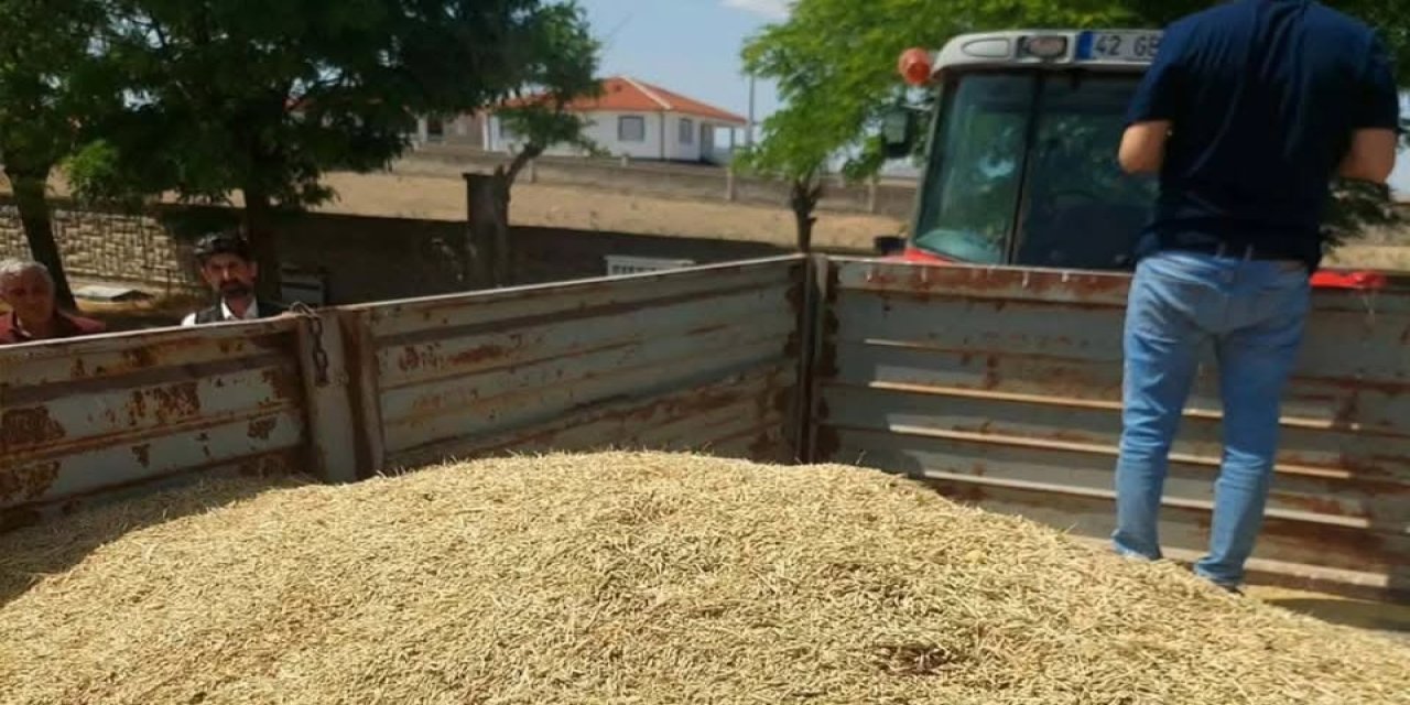 Konya’da Kuraklık Alarmı: 256 Dekardan Sadece 1 Ton Arpa Alındı
