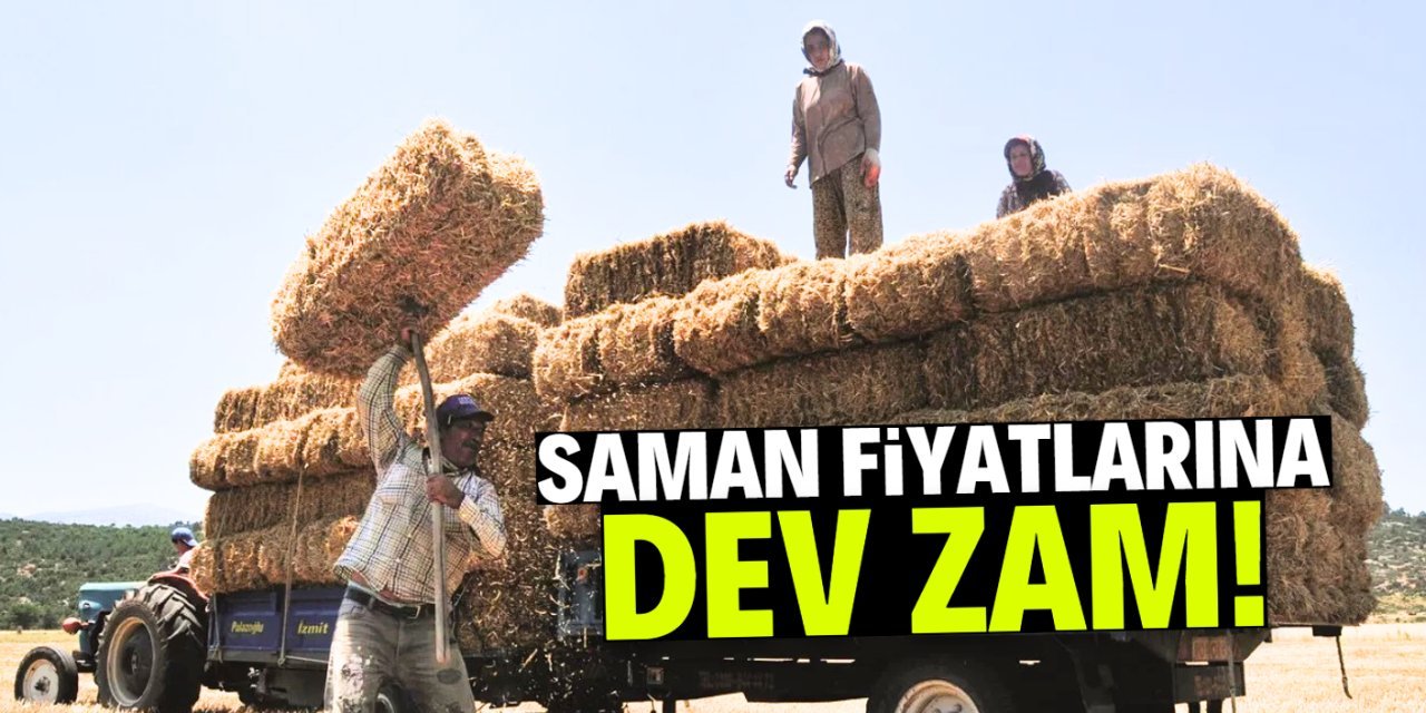 Kuraklık Hububat ve Saman Üretimini Vurdu