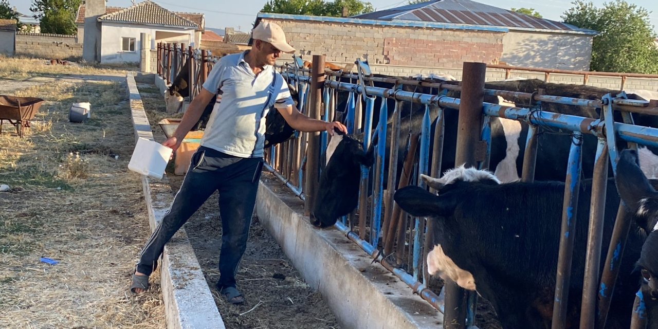 Eskil'da hayvancılık yapan vatandaştan sitem dolu sözler