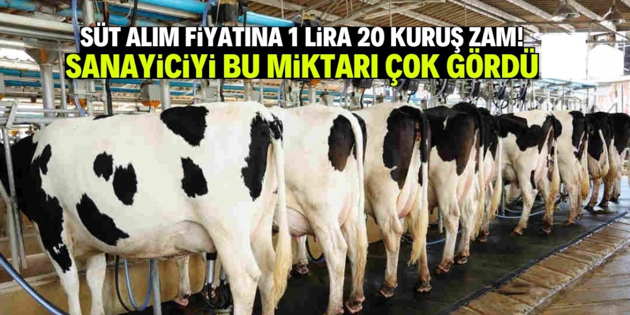 Çiğ Süte Zam Geldi Ama Üreticiye Yansımadı: "Sisteme Umudumuz Kalmadı"