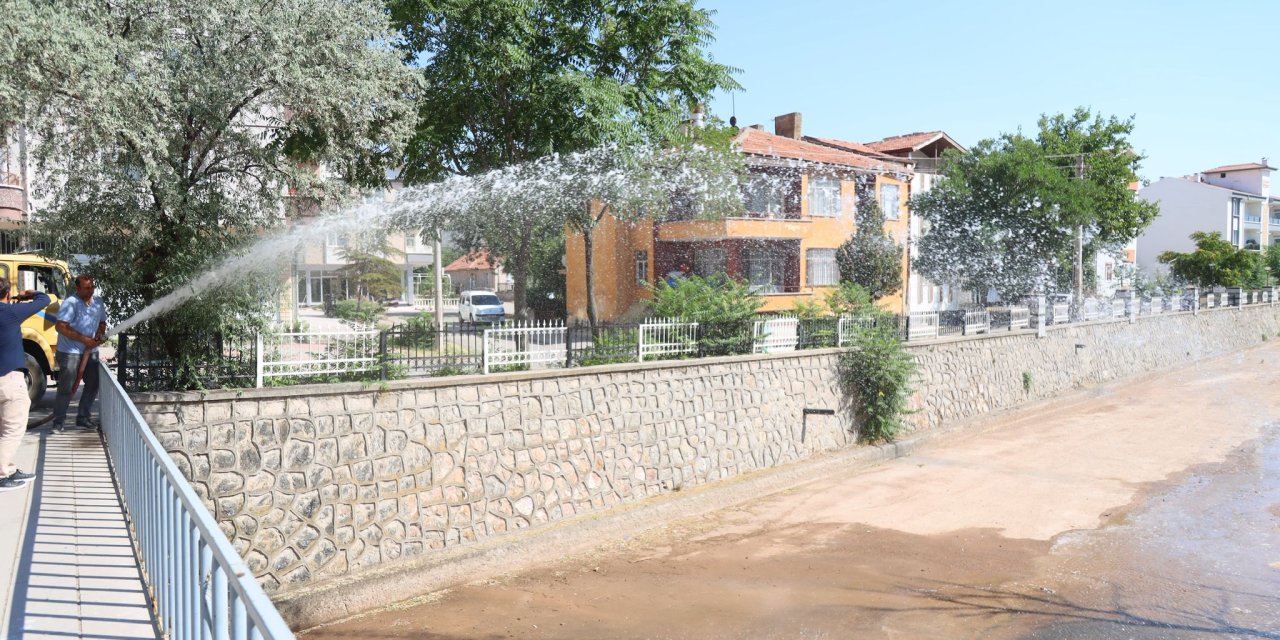 Aksaray’da Uluırmak kurudu, kuşlar susuz kaldı