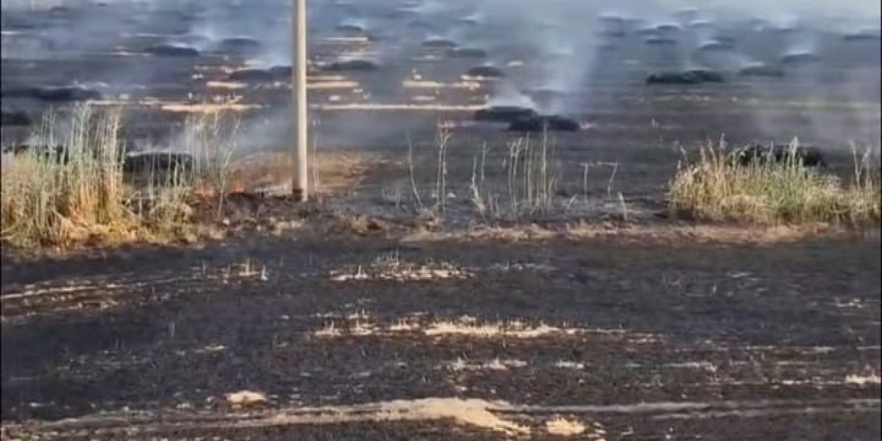 Eskil'de 50 Dekar Tarla ve Saman Balyaları Alevlere Teslim Oldu