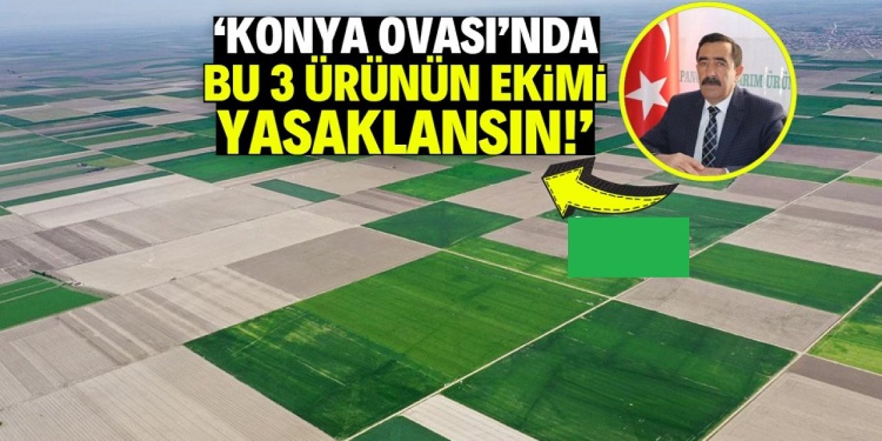 Konya Ovası’nda Kuraklık Alarmı: Patates, Mısır ve Yonca Üretimi Yasaklansın Çağrısı