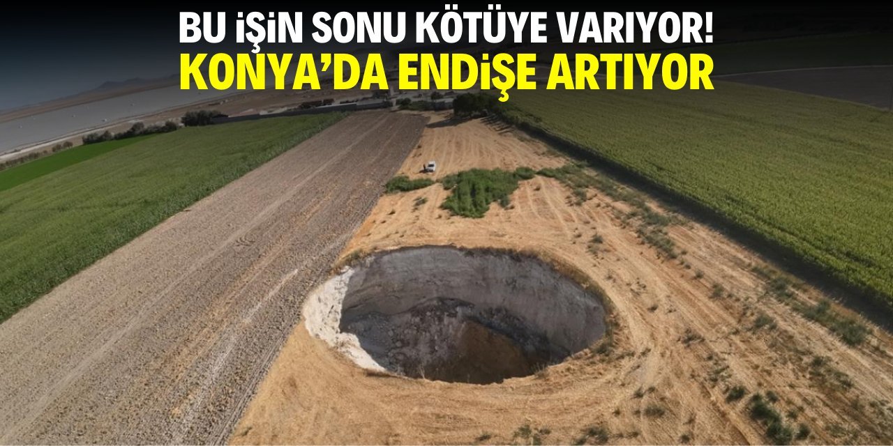 Mısır, yonca, patates ve pancara devam!