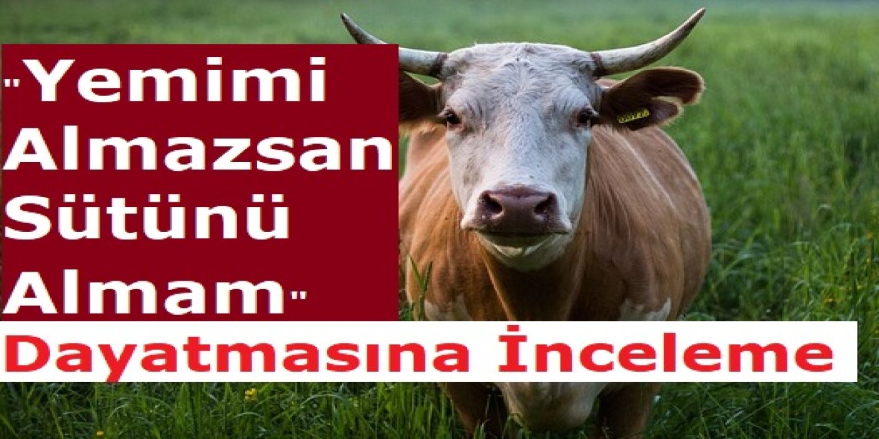 "Yemimi Almazsan, Sütünü Almam" Dayatmasına İnceleme