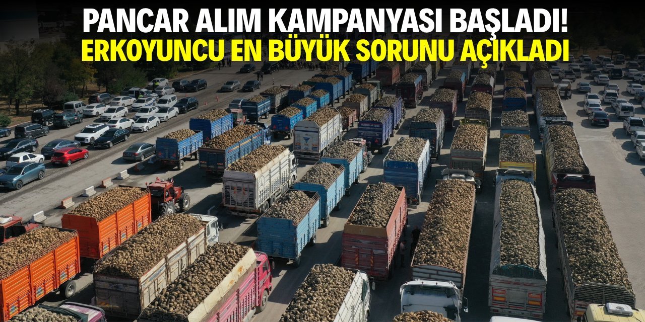 Çumra ve Konya Şeker Fabrikalarında Pancar Alım Kampanyaları Başladı