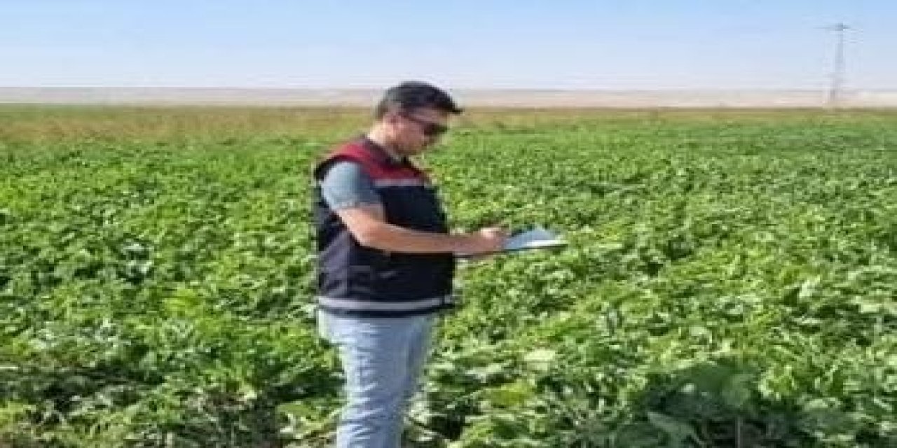 Yanıltıcı beyanda bulunanlar başka kapıya! Aksaray'da sahada denetimler sürüyor