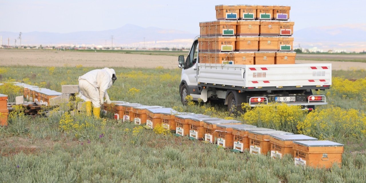 Selçuklu Belediyesi'nden arılı kovan desteği
