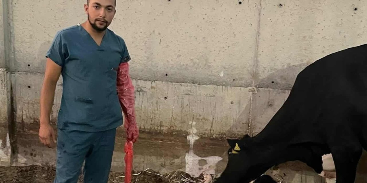Aksaray’da Traktör Kazasında Yaralanan Genç Çiftçi Hayatını Kaybetti