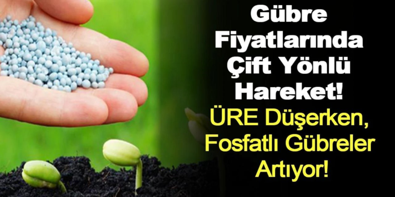 Dünya Gübre Piyasasında Eylül Ayında Sakinleşme: ÜRE ve POTAS Fiyatları Hafifçe Geriledi
