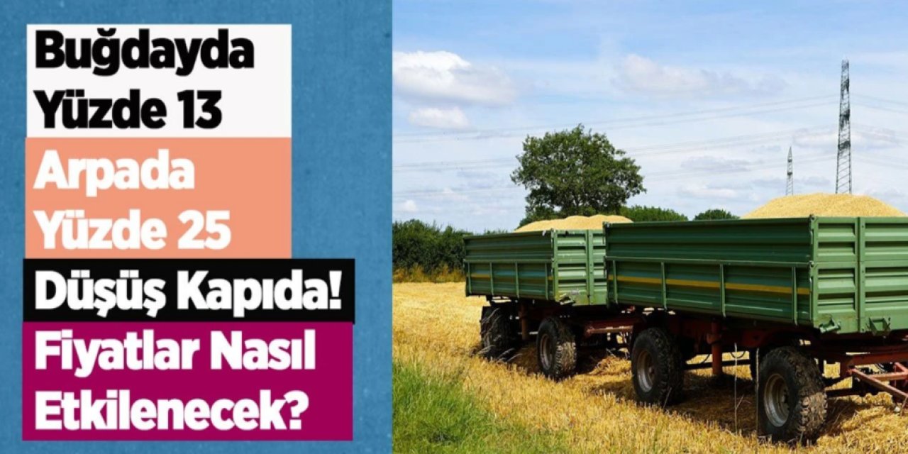 TÜİK’ten 2025 Bitkisel Üretim Tahmini: Tarımda Büyük Kayıp!