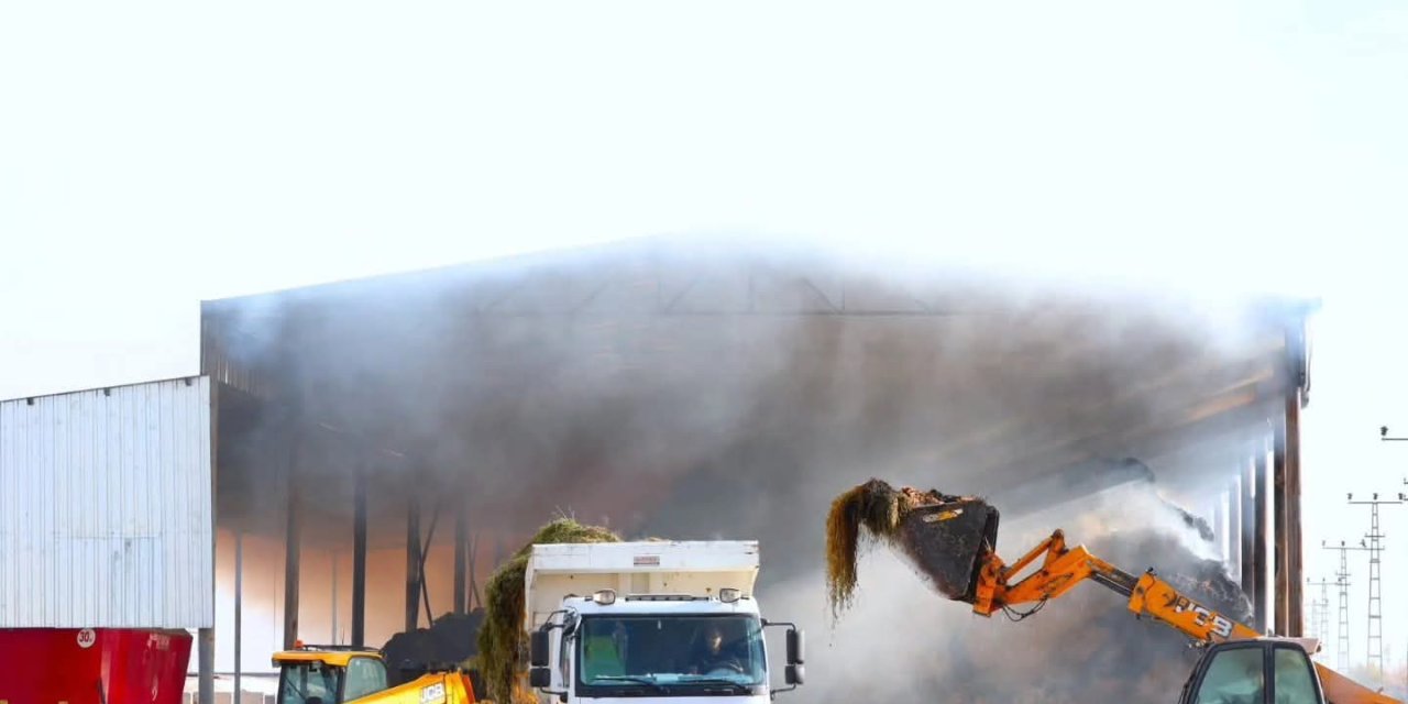 Sultanhanı'nda Kuş sürüsü yüksek gerilim hattına çarptı, çiftlikte yangın çıktı!