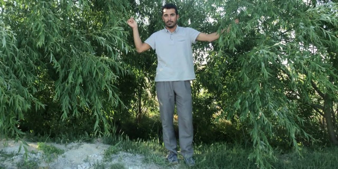 Eskil Yeşile Bürünüyor: “Bir Çocuk Bir Meşe” Seferberliği