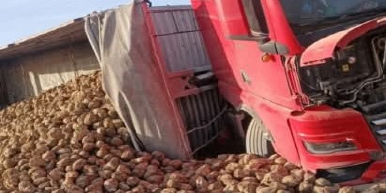 Gölyazı'da Seyir Halindeki Pancar Yüklü Tır Devrildi