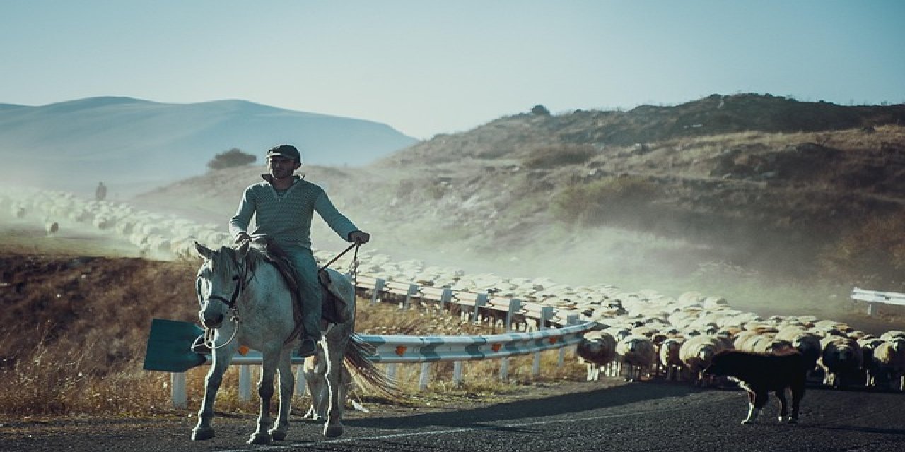 Kırsalda Bereket Modeli Küçükbaş Hayvancılığa da Geliyor