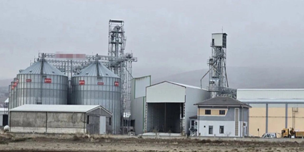 Büyük Vurgun: TMO'nun Emanet Hububatlarını Satmış!