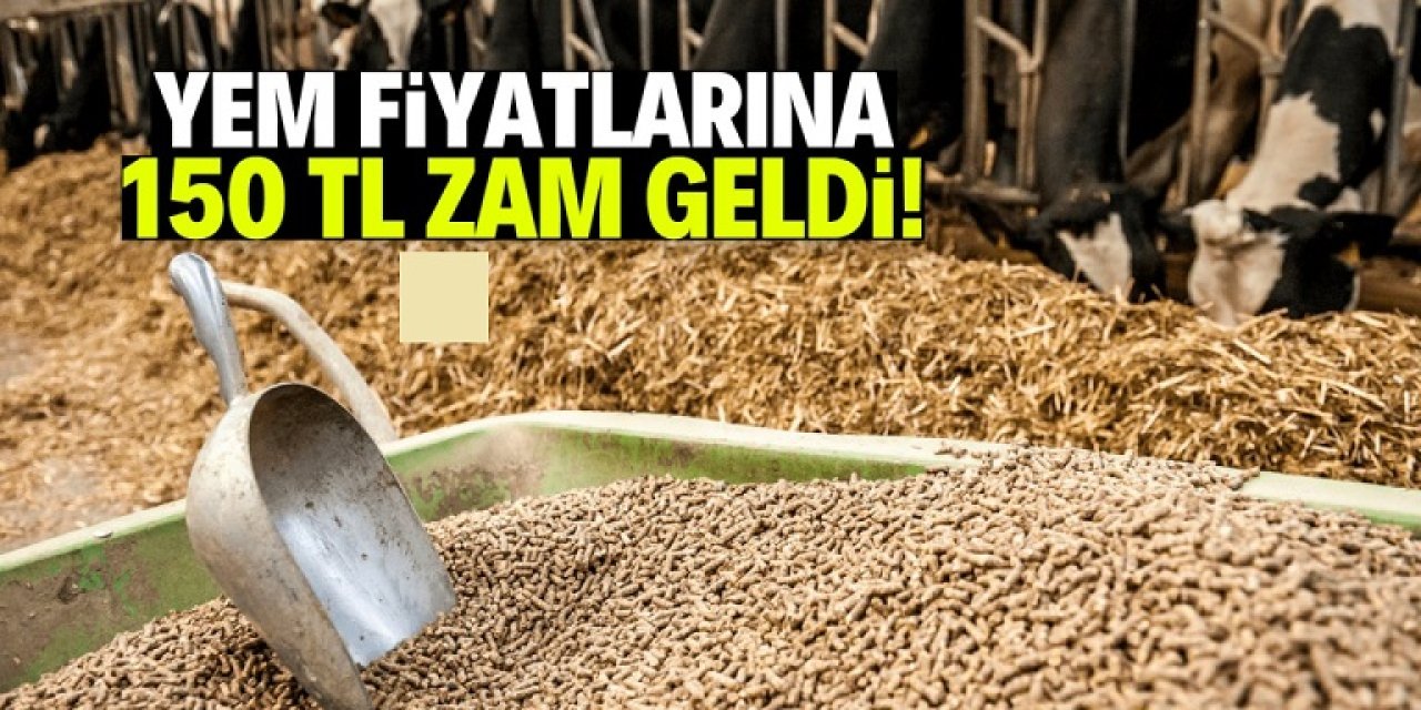 Yem Fiyatlarındaki Artış Tepki Çekiyor: “Ortada Kıtlık Yok, Denetimsizlik Var”