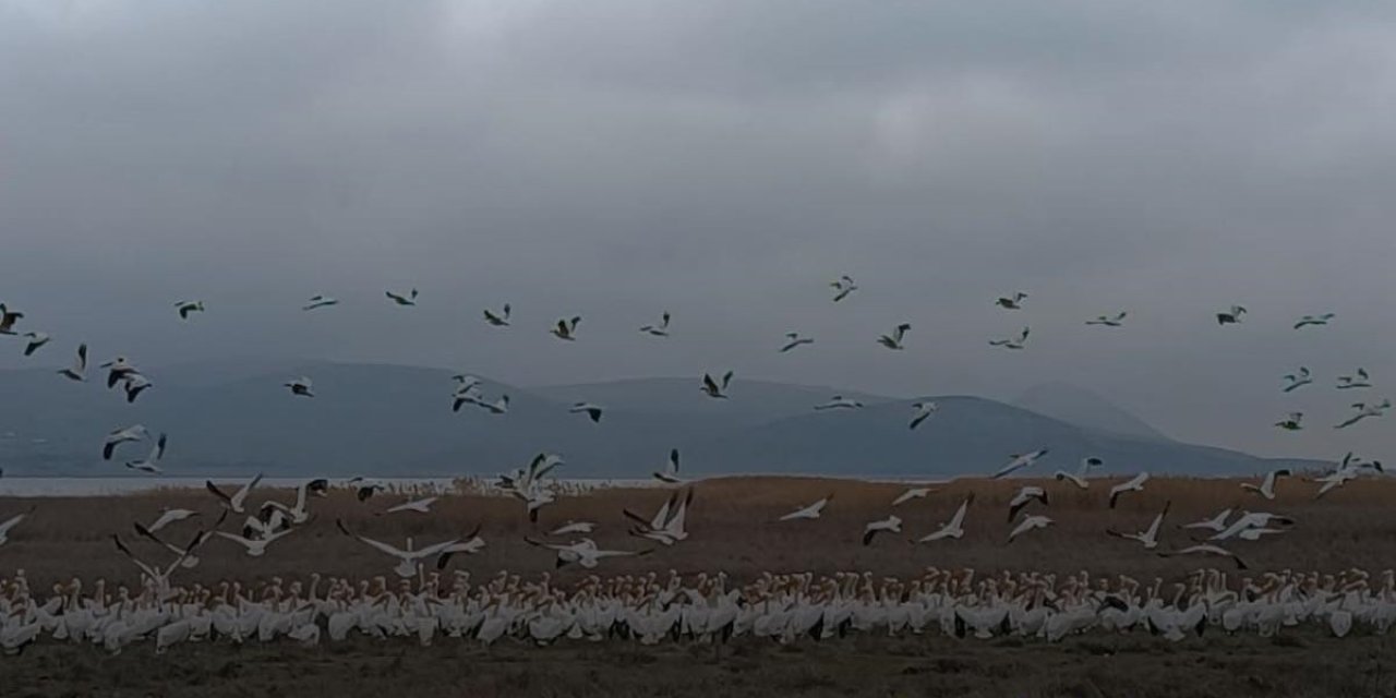 Konya Ilgın’da Çavuşçugöl Yeniden Canlandı: Yağışlar Gölle Birlikte Hayatı Geri Getirdi
