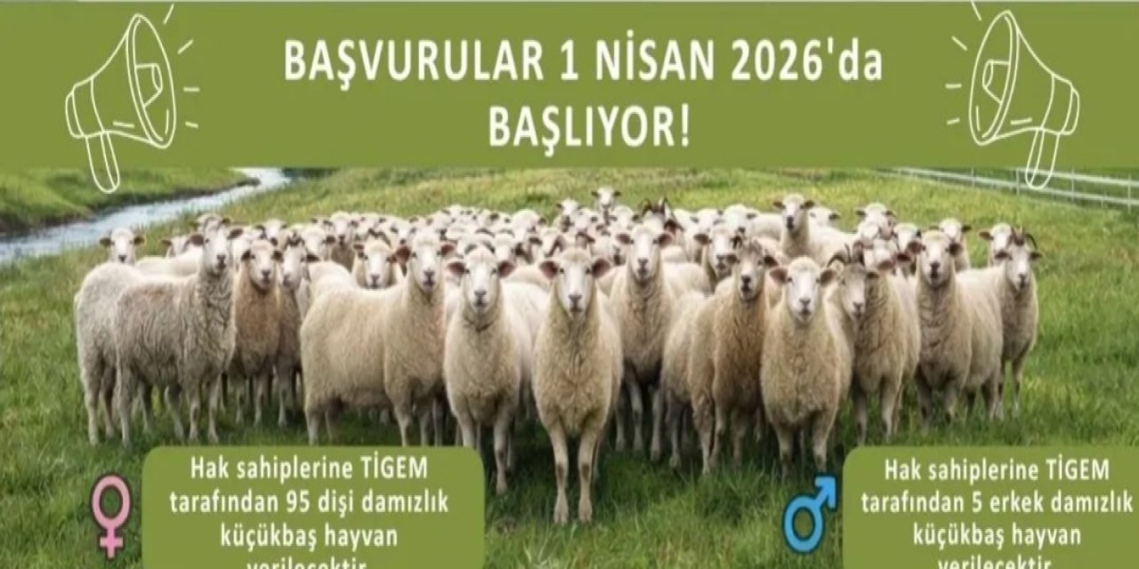 Kırsalda Bereket Küçükbaş Destek Projesi Başvuruları Başladı