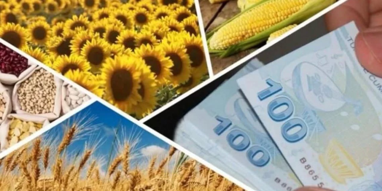 Planlı üretim desteği 10-17 Nisan’da ödenecek