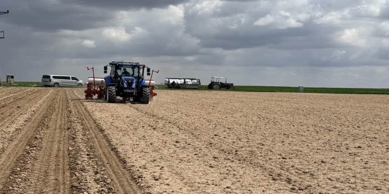 Eskil’de Ayçiçeği Ekimi Başladı: Tarlalarda Yoğun Mesai