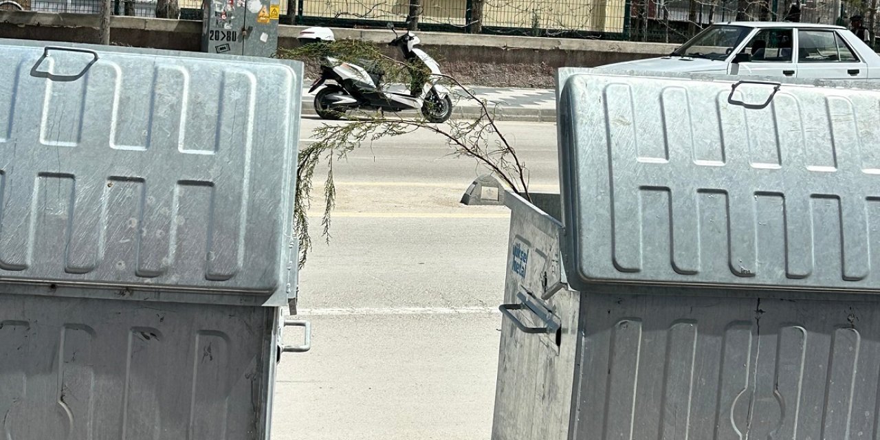 Eskil’de Tepki Çeken Görüntü: Dağıtılan Fidanlar Çöp Kovasında!